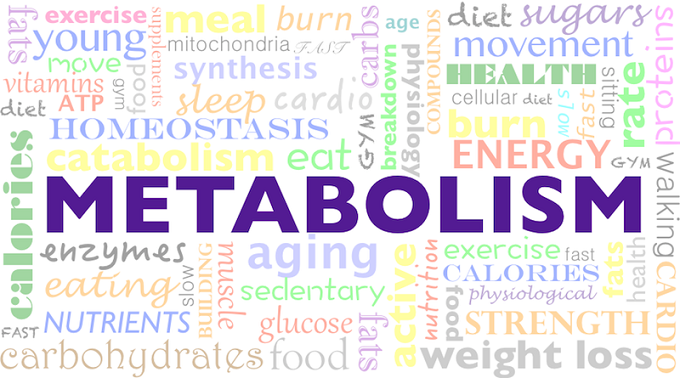 Как разогнать метаболизм?